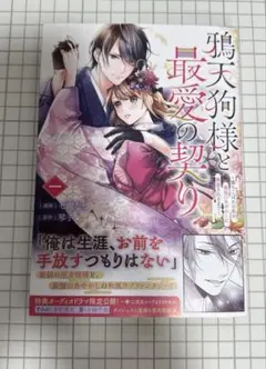 鴉天狗様と最愛の契り