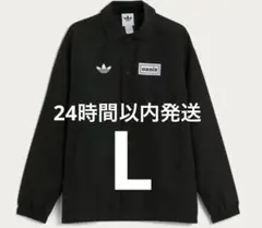 Item thumbnail for item f6398d9a-7100-4acd-b7e2-5dd0e5139f7a