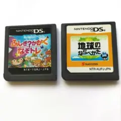 Nintendo DS ソフト 2本セット