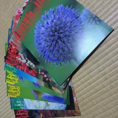 植物の世界 複数号セット（9冊）