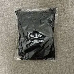 Item thumbnail for item 695881da-4a56-4ebd-80d2-803801d728ca
