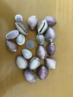 Item thumbnail for item f2d4b9c6-eac9-4bb1-afa6-d28e7f74eab9