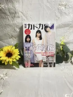 別冊カドカワ 総力特集 乃木坂46 Vol.01
