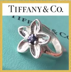 極美品 新品仕上げ Tiffany ティファニー リング 指輪 タンザナイト