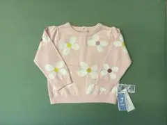 Item thumbnail for item d75f9762-0b68-4ed6-80c5-e112f646bd51