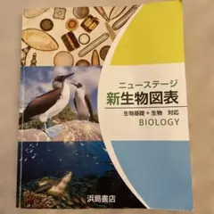 高校生物　ニューステージ新生物図表 浜島書店