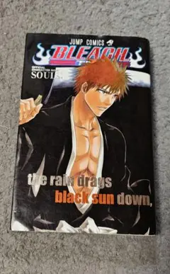 BLEACH キャラクターブックと劇場版パンフレット