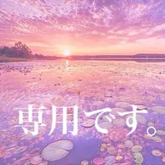 専用