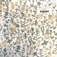 cache-cache au jardin ブルー 1m