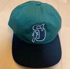 STUSSY VINTAGE S LOW PRO CAP