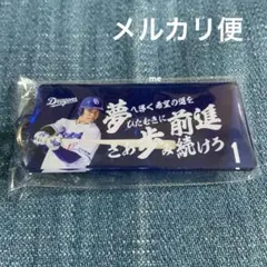 中日ドラゴンズ　岡林　キーホルダー　応援歌　ガチャ　岡林勇希