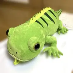 2025年最新】レオパのきいちゃん ウルトラbigの人気アイテム