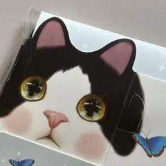 JETOY Choo choo 小物ボックス5個セット ストレージボックス 猫