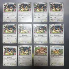 ポケモンカード イーブイ カラフルキャッチ ブーストしんか 12 枚セット