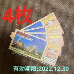 グリーンランド 入場券 4枚