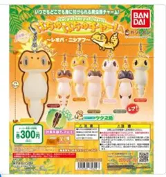 BANDAI はちゅはちゅチャーム キーホルダー3種セット