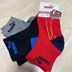 Item thumbnail for item 1393b434-e7a7-4f00-bed2-c134914eac55