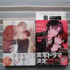 BL 凸凹×コミュニケーション/PUNKS△TRIANGLE stitch1