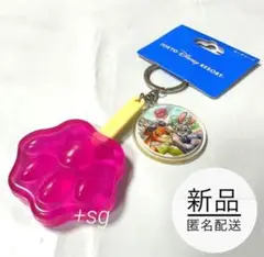 新品タグ付★TDR限定品★キーチェーン★アイスキャンディー★ズートピア★肉球