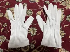 Item thumbnail for item 50d614c5-243b-4dc3-a011-86d9a3af4174