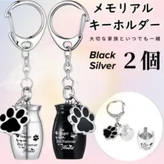 Item thumbnail for item aa216120-4157-4493-bcd6-79822cf00763