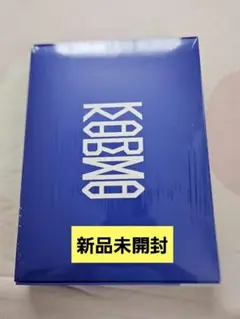 stray kids　新品未開封　karma 通常盤