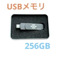 大容量256GB USBメモリ 2IN1