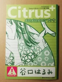 citrus + 2巻 サブロウタ 描きおろし 特典 リーフレット 非売品