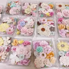 プリマフラワー