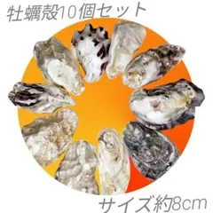 Item thumbnail for item 026d9fbe-ed68-4d4c-8584-f421d2a8b2cd