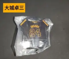 大城卓三 クラッピー
