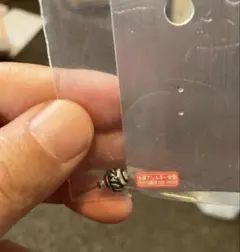 専用ページ