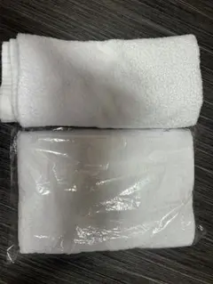 Item thumbnail for item 8b98682e-53a4-4311-8ac5-b5fcc6f3a9cd