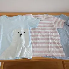 無印良品 120cm シロクマ ボーダー 無地 Tシャツ 3枚 セット
