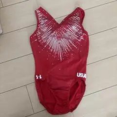 Under Armour 赤 Vネック 体操服 USA