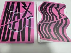 Stray Kids MAXIDENT GO Ver.＆通常盤
