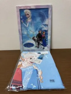 [未開封] アナ雪　アナと雪の女王　のれん　85×150 3Dアートおまけ付！