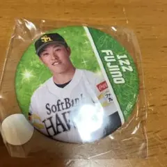 若鷹ガチャ ネクストブレイクver. 藤野選手