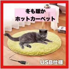 カーペット ペット用 ホットカーペット 犬 猫 電熱ヒーター USB マット