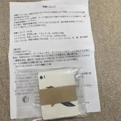 未使用　ピグマリオン　教養トランプ