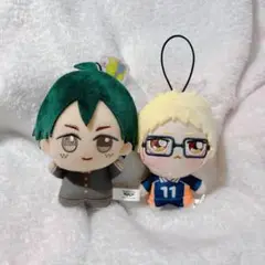 ハイキュー ちょぴぬいぷち 月島蛍　ちびぐるみ 山口忠