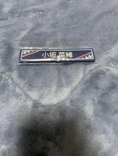 Item thumbnail for item 2c1c9a3f-bcb2-4861-84c8-b73e4c95c5c4