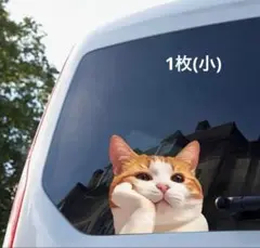 Item thumbnail for item 11268b75-ac5d-41d7-a7cd-29caaee1f40e