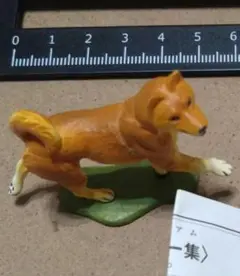 カプセルQ 日本ペット動物大全 紀州犬 赤