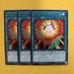 遊戯王 スクイプ・ドロー スクイプドロー 字レア 3枚セット ヴァレット