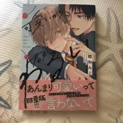 可愛いから君がわるい