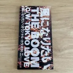 THE BOOM 風になりたい　8cmCD