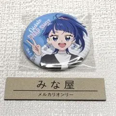 ひろがるスカイ！プリキュア おでかけスナップショット 缶バッジ ソラ