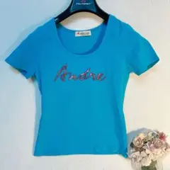 アンドレルチアーノ ANDRELUCIANO 青 Tシャツ　Sサイズ 1 ロゴ