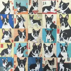 【ゆきちゃん限定】X936-4 ボストン・テリア 浮世絵柄 コットン生地 1m